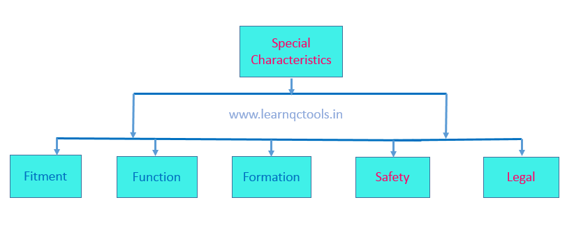 Special Characteristics